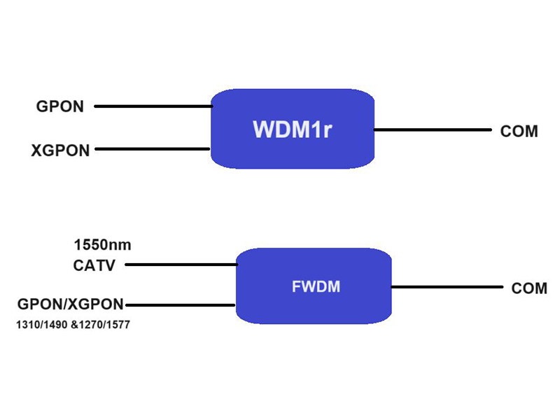 240829  Coexistence WDM technology